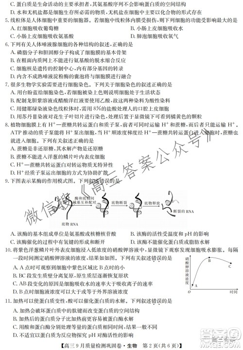 九师联盟2021-2022学年高三9月质量检测巩固卷生物试题及答案