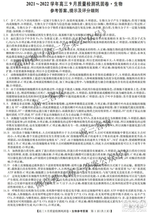 九师联盟2021-2022学年高三9月质量检测巩固卷生物试题及答案