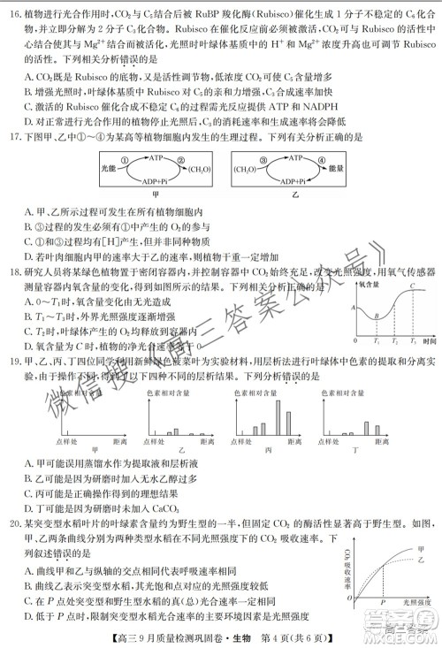 九师联盟2021-2022学年高三9月质量检测巩固卷生物试题及答案 九师联盟2021-2022学年高三9月质量检测巩固卷生物试题及答案