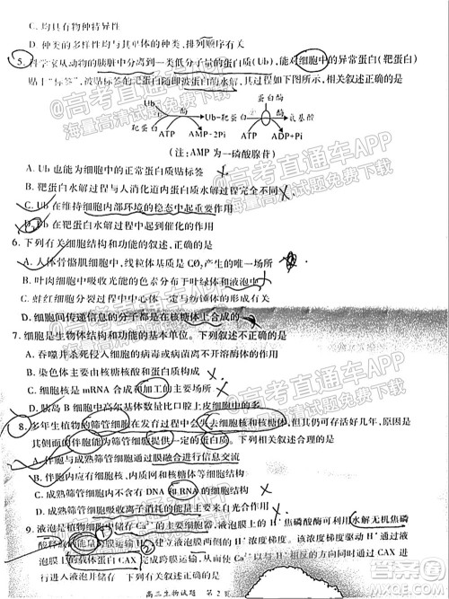中原名校2021-2022学年上期第一次联考高三生物试题及答案 中原名校2021-2022学年上期第一次联考高三生物试题及答案