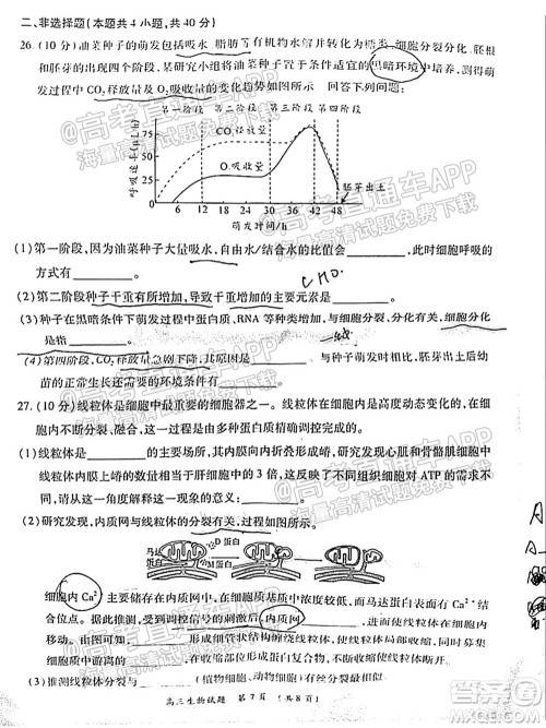 中原名校2021-2022学年上期第一次联考高三生物试题及答案 中原名校2021-2022学年上期第一次联考高三生物试题及答案