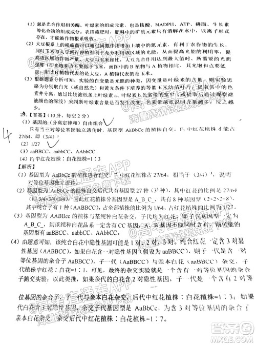 中原名校2021-2022学年上期第一次联考高三生物试题及答案 中原名校2021-2022学年上期第一次联考高三生物试题及答案