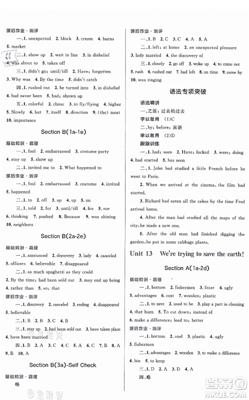 人民教育出版社2021同步解析与测评学考练九年级英语全一册人教版答案 人民教育出版社2021同步解析与测评学考练九年级英语全一册人教版答案