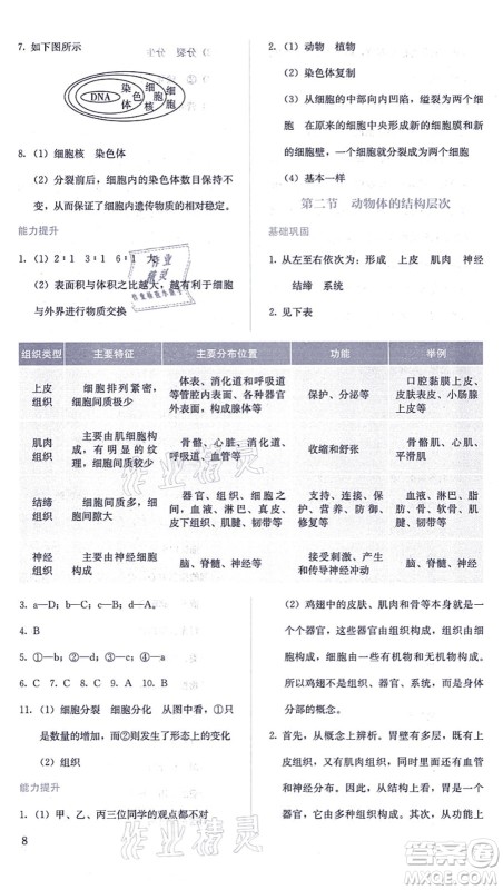 人民教育出版社2021同步解析与测评七年级生物上册人教版答案