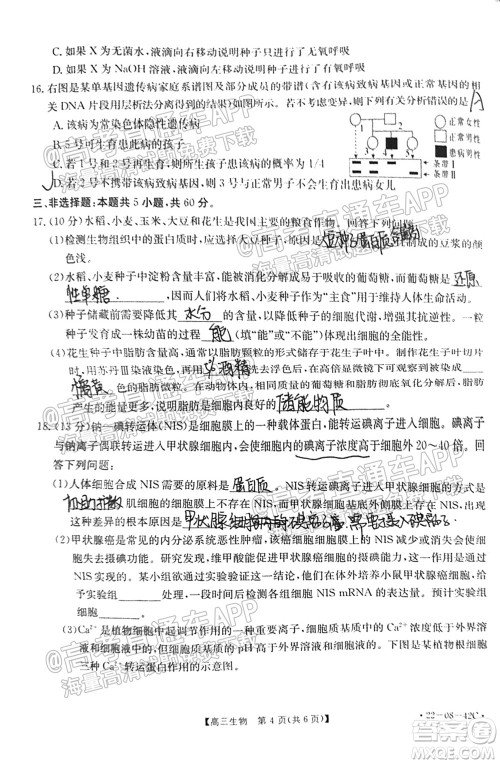 2022届湖南金太阳高三9月联考生物试卷及答案 2022届湖南金太阳高三9月联考生物试卷及答案