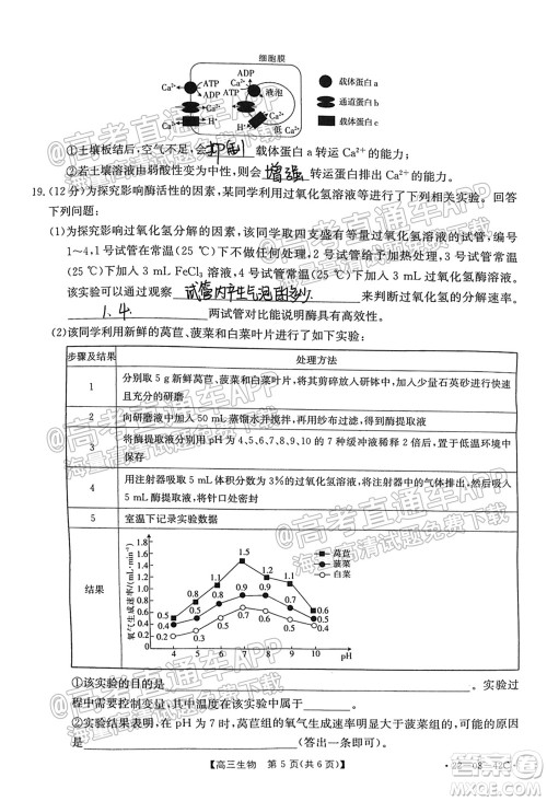 2022届湖南金太阳高三9月联考生物试卷及答案