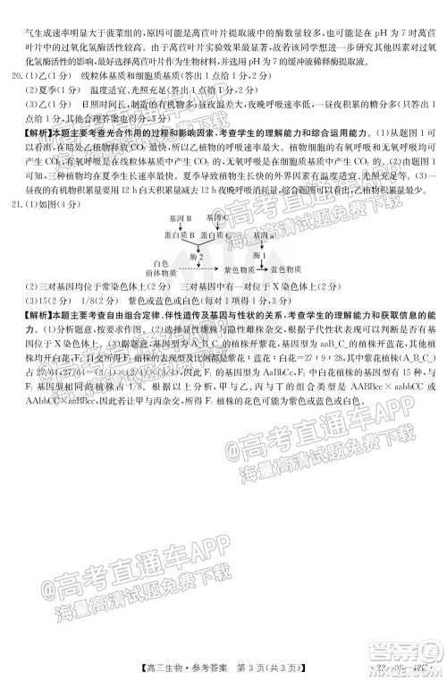 2022届湖南金太阳高三9月联考生物试卷及答案