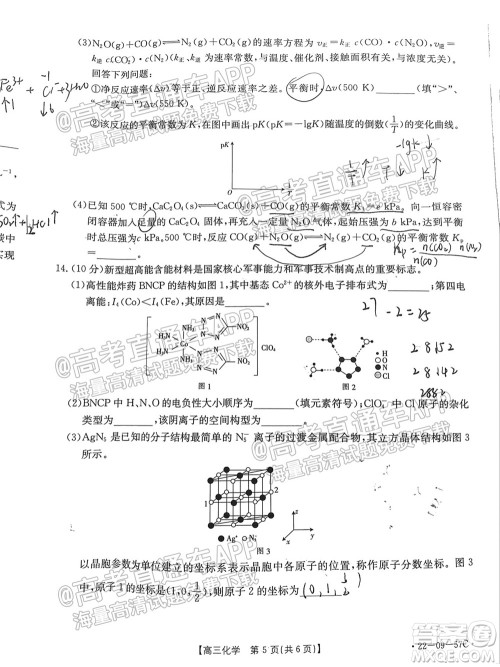 2022届福建金太阳高三10月联考化学试题及答案