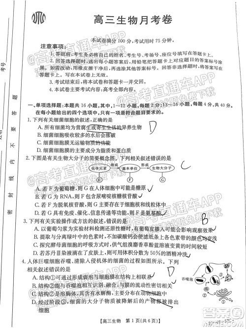 2022届福建金太阳高三10月联考生物试题及答案