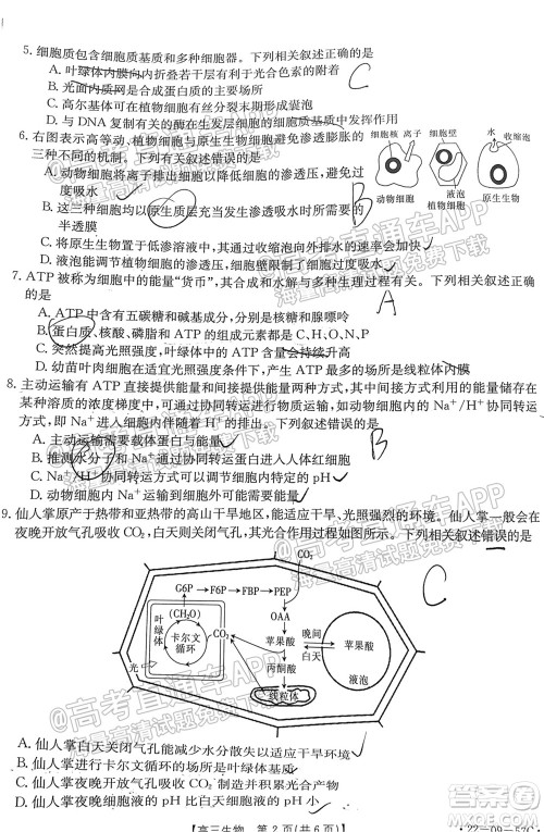 2022届福建金太阳高三10月联考生物试题及答案