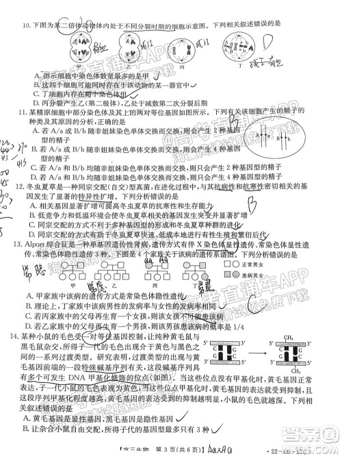 2022届福建金太阳高三10月联考生物试题及答案