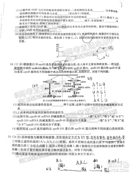 2022届福建金太阳高三10月联考生物试题及答案