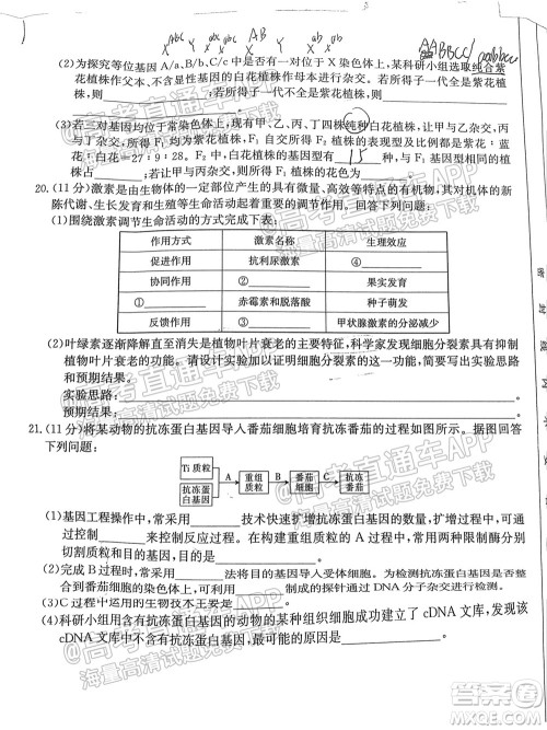 2022届福建金太阳高三10月联考生物试题及答案