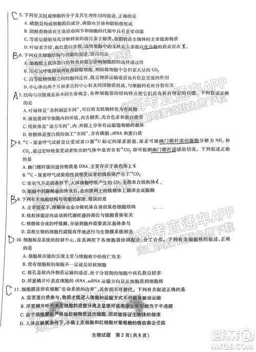 皖豫名校联盟体2022届高中毕业班第一次考试生物试题及答案