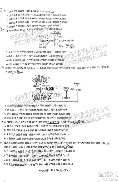 皖豫名校联盟体2022届高中毕业班第一次考试生物试题及答案