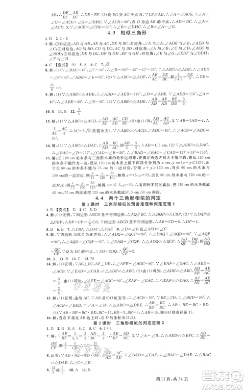 广东经济出版社2021名校课堂九年级数学浙教版浙江专版参考答案 广东经济出版社2021名校课堂九年级数学浙教版浙江专版参考答案
