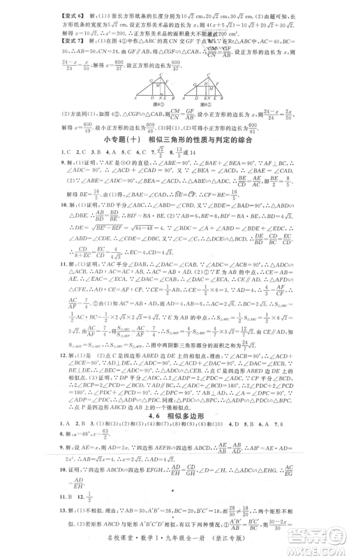 广东经济出版社2021名校课堂九年级数学浙教版浙江专版参考答案 广东经济出版社2021名校课堂九年级数学浙教版浙江专版参考答案