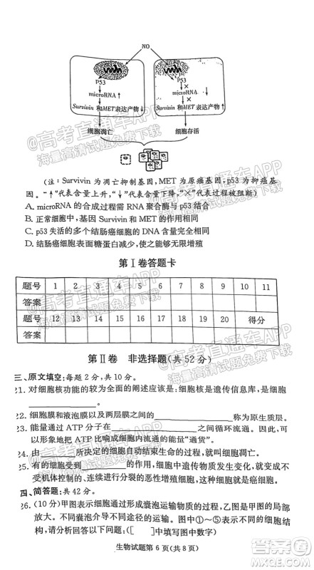 炎德英才联考联合体2021年高三10月联考生物试题及答案