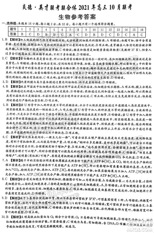 炎德英才联考联合体2021年高三10月联考生物试题及答案 炎德英才联考联合体2021年高三10月联考生物试题及答案