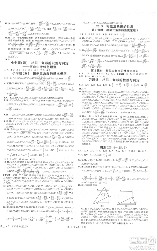 安徽师范大学出版社2021名校课堂九年级上册数学冀教版河北专版参考答案