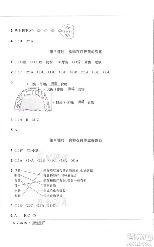 江西教育出版社2021阳光同学课时优化作业四年级科学上册JK教科版答案