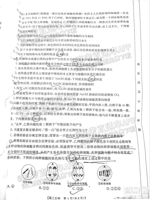 2022届山东金太阳10月联考高三第一次备考监测联合考试生物试题及答案