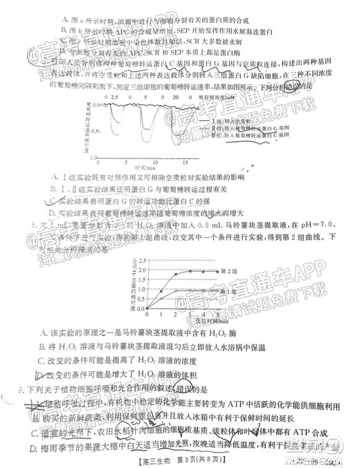 2022届山东金太阳10月联考高三第一次备考监测联合考试生物试题及答案