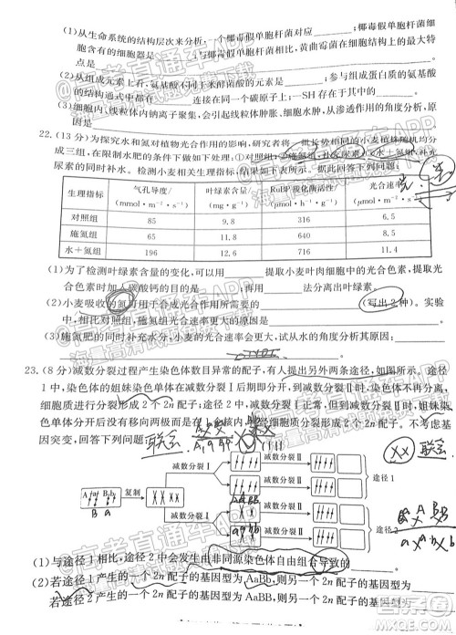 2022届山东金太阳10月联考高三第一次备考监测联合考试生物试题及答案