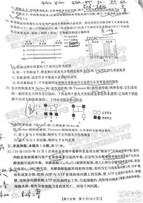 2022届山东金太阳10月联考高三第一次备考监测联合考试生物试题及答案