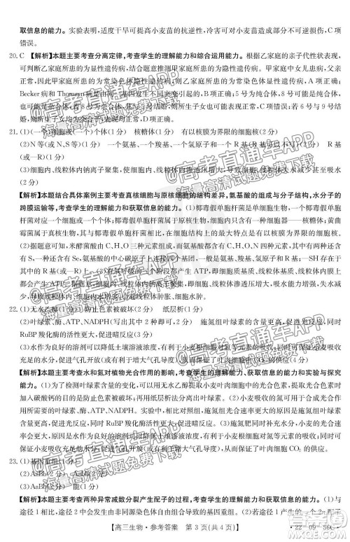 2022届山东金太阳10月联考高三第一次备考监测联合考试生物试题及答案 2022届山东金太阳10月联考高三第一次备考监测联合考试生物试题及答案