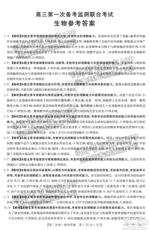 2022届山东金太阳10月联考高三第一次备考监测联合考试生物试题及答案 2022届山东金太阳10月联考高三第一次备考监测联合考试生物试题及答案