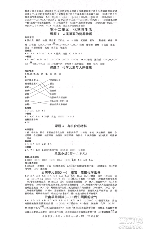 吉林教育出版社2021名校课堂滚动学习法九年级化学人教版背记手册云南专版参考答案