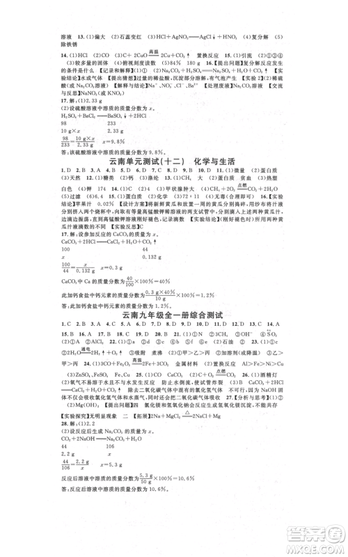 吉林教育出版社2021名校课堂滚动学习法九年级化学人教版背记手册云南专版参考答案