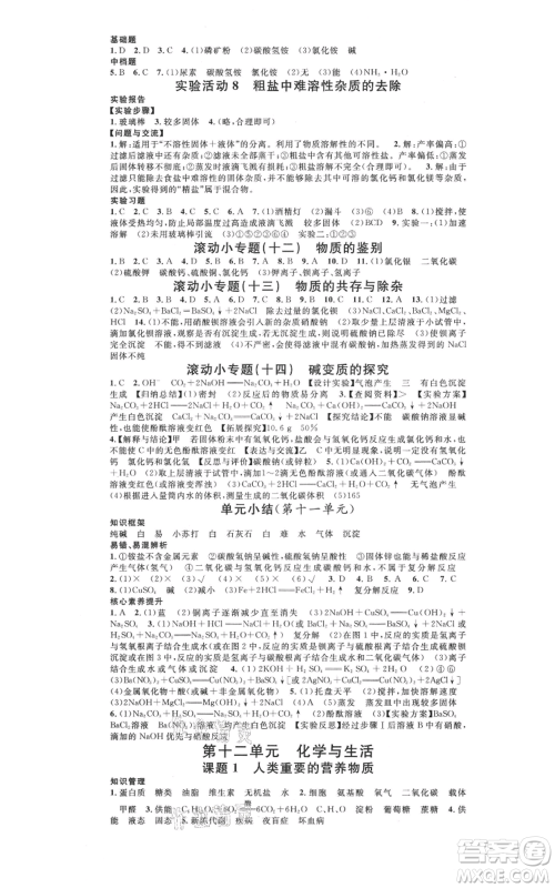 广东经济出版社2021名校课堂九年级化学人教版背记手册广西专版参考答案 