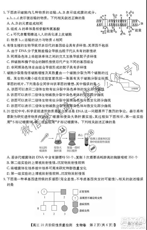 广东省普通高中2022届高三10月阶段性质量检测生物试题及答案