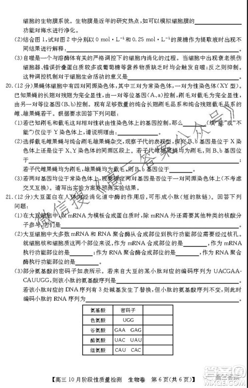 广东省普通高中2022届高三10月阶段性质量检测生物试题及答案