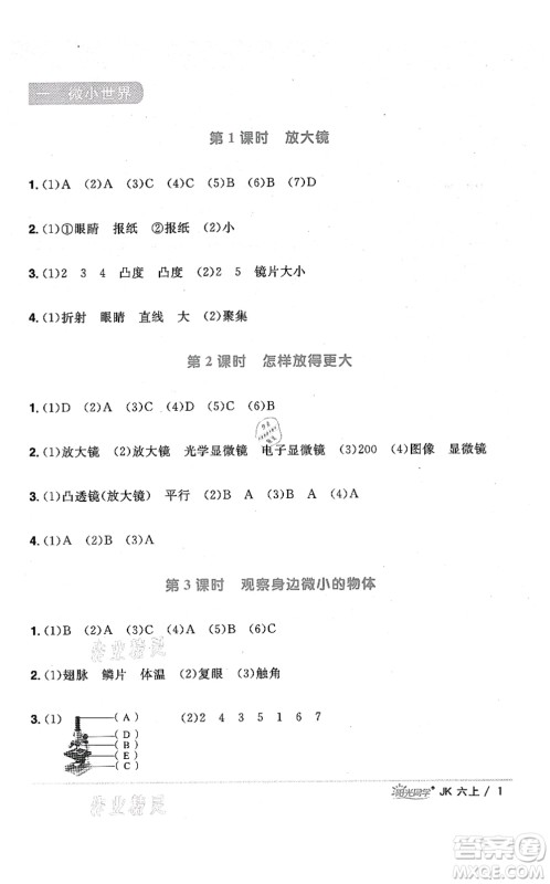 江西教育出版社2021阳光同学课时优化作业六年级科学上册JK教科版答案