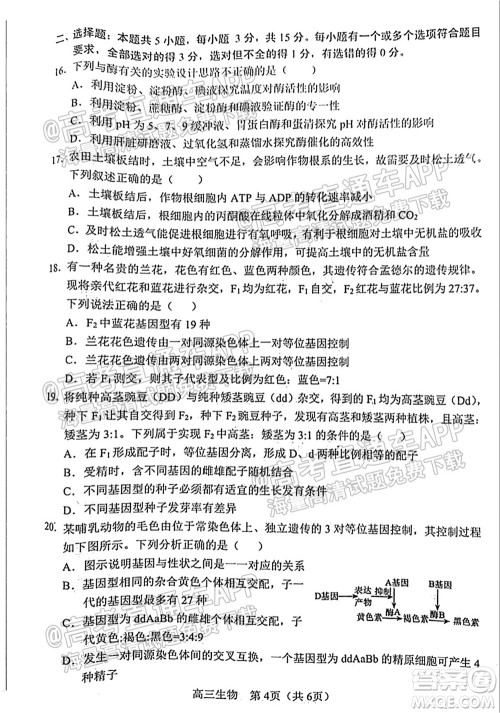 2021-2022学年度上学期沈阳市郊联体高三10月月考生物试题及答案