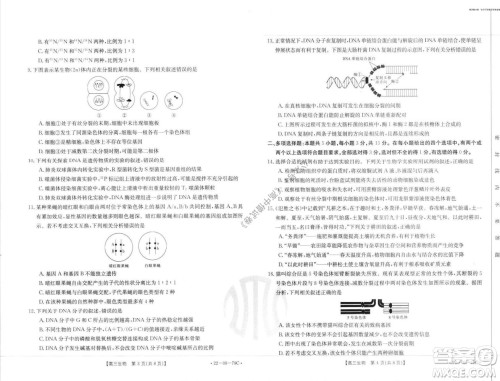 2022届河北邢台金太阳联考高三上期10月联考生物试卷及答案