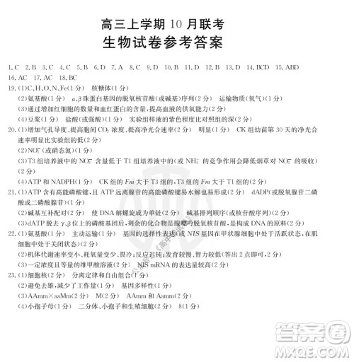 2022届河北邢台金太阳联考高三上期10月联考生物试卷及答案 2022届河北邢台金太阳联考高三上期10月联考生物试卷及答案