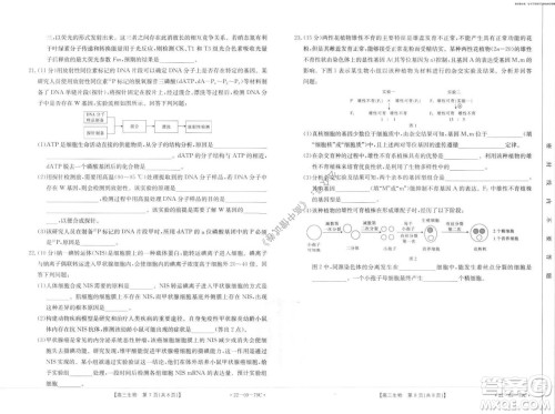 2022届河北邢台金太阳联考高三上期10月联考生物试卷及答案