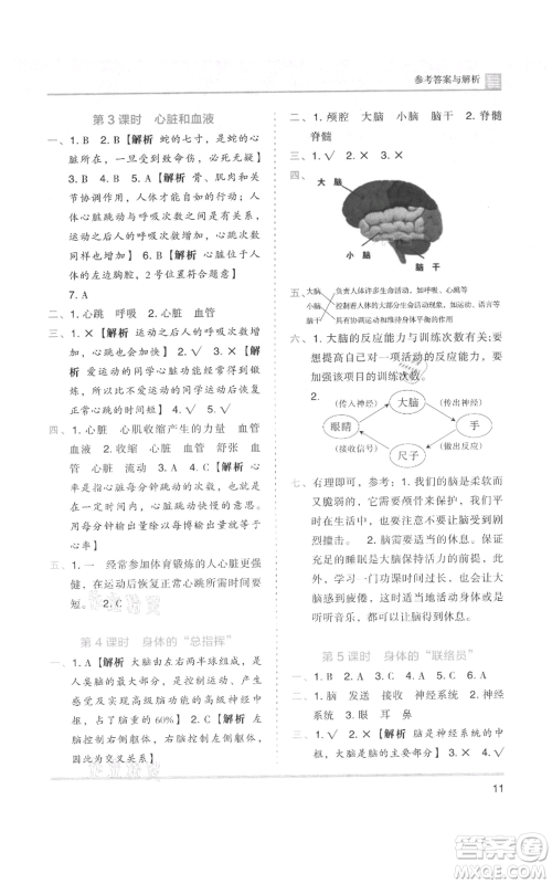 湖南师范大学出版社2021木头马分层课课练五年级上册科学教科版参考答案