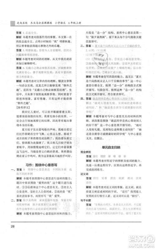 湖南师范大学出版社2021木头马分层课课练六年级上册语文人教版浙江专版参考答案