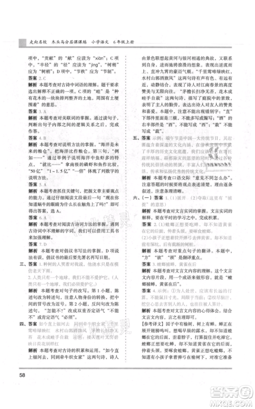 湖南师范大学出版社2021木头马分层课课练六年级上册语文人教版浙江专版参考答案