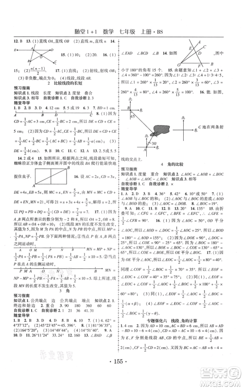 云南美术出版社2021随堂1+1导练七年级上册数学北师大版参考答案