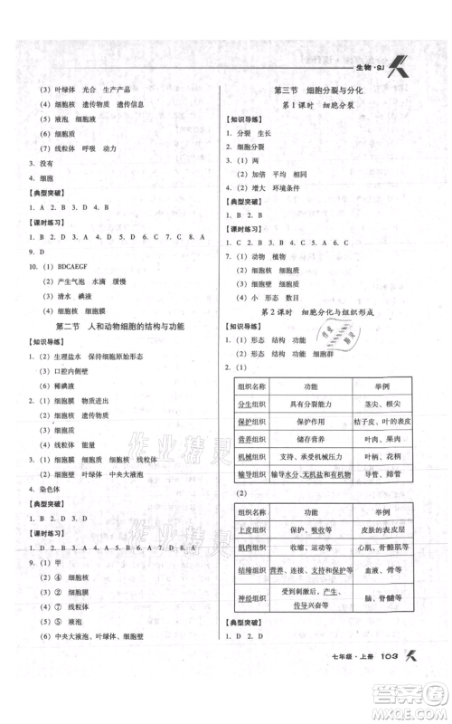 辽海出版社2021全优点练课计划七年级上册生物苏教版参考答案