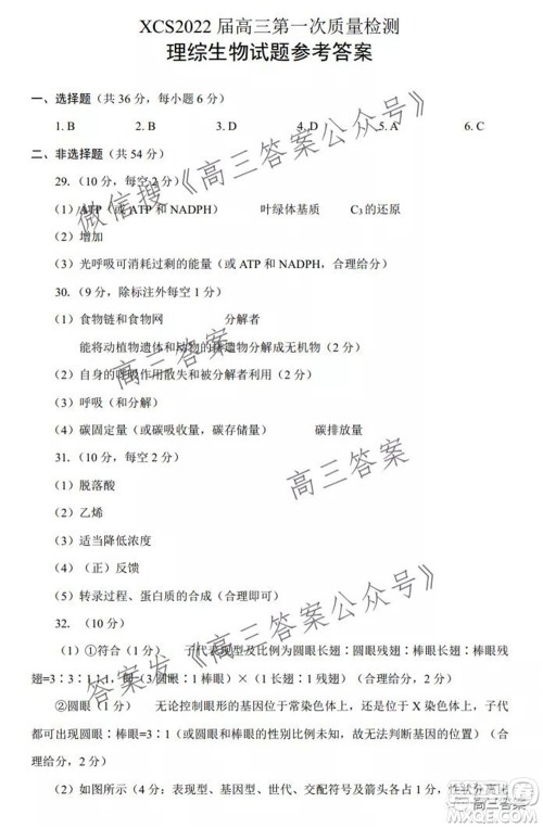 XCS2022届高三年级第一次质量检测试卷理科综合试题及答案