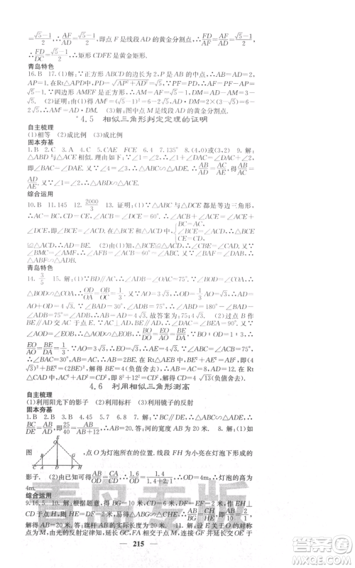 四川大学出版社2021名校课堂内外九年级上册数学北师大版青岛专版参考答案