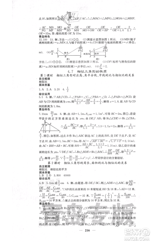四川大学出版社2021名校课堂内外九年级上册数学北师大版青岛专版参考答案