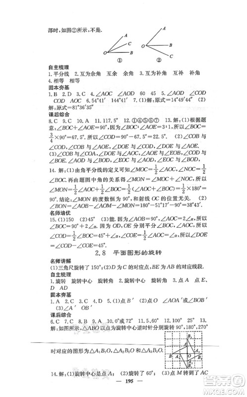 四川大学出版社2021课堂点睛七年级数学上册冀教版答案